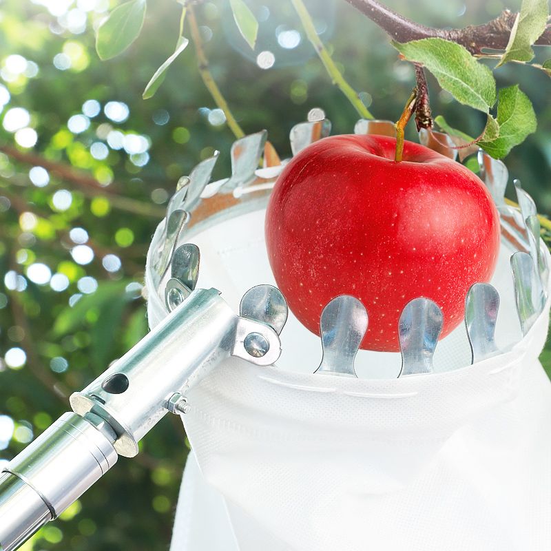 Adjustable Fruit Picker Rod | 50 CM Width
